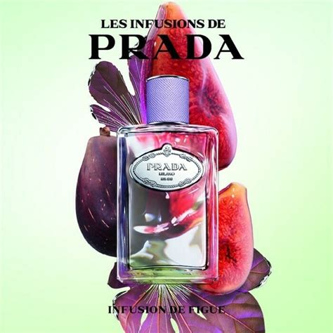 Prada Infusion de Figue ~ new fragrance :: Now Smell This.